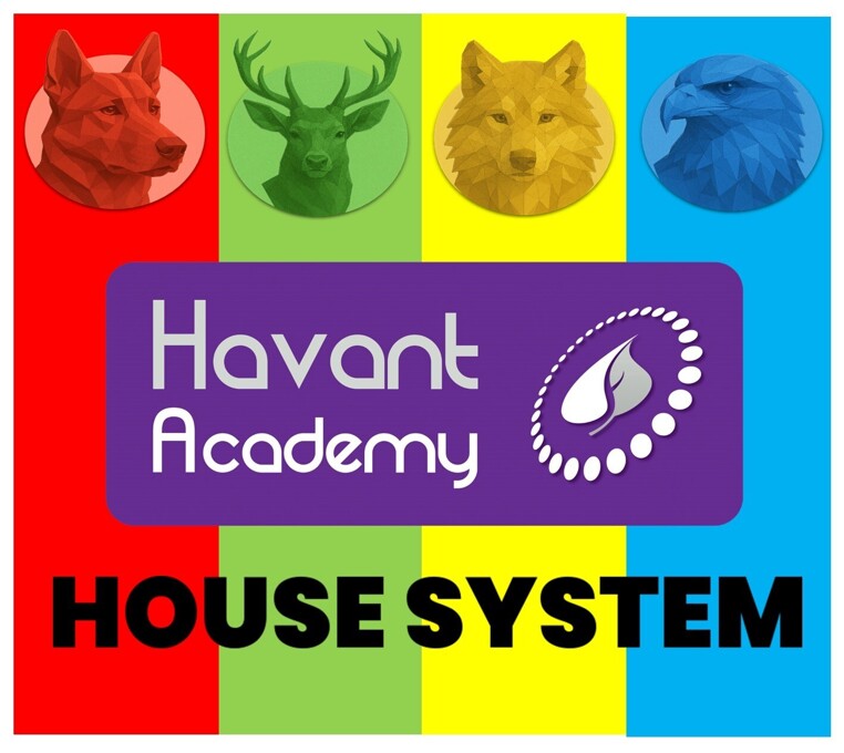 New house logo 25