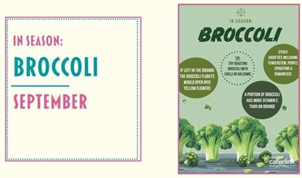 In season broccoli
