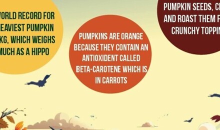 In season pumpkin v1