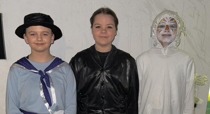 Piratical Performers